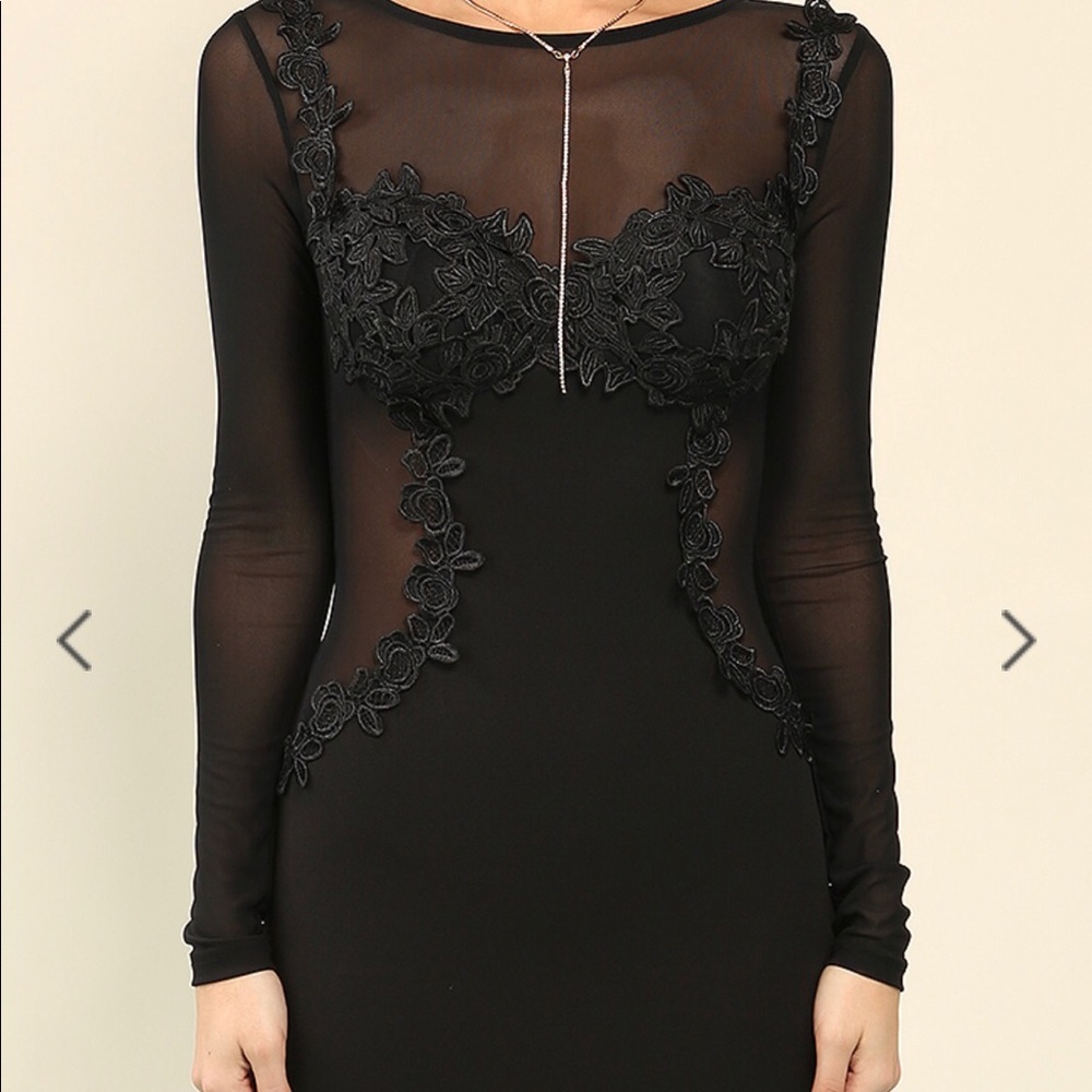 Long Sleeve Bodycon Dress Illusion Neckline Lace